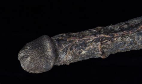 7 inch long mummified erect penis from hanged crook goes on display at uk museum weird news