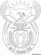 Arms South Coat Africa Coloring Pages Drawing Flag Symbols Symbol Getdrawings Govender Trisha School Logo sketch template