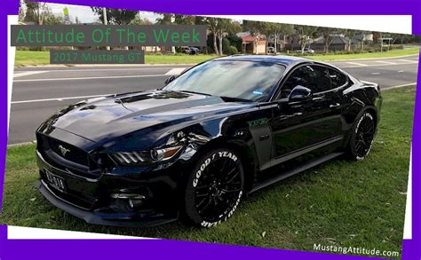 black  ford mustang gt coupe