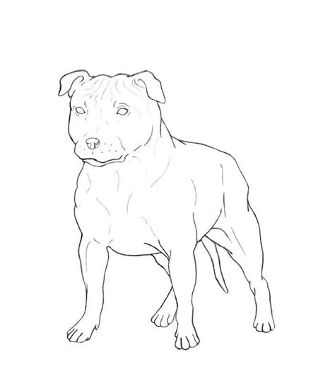 pitbull coloring pages  coloringfoldercom pitbull colors puppy