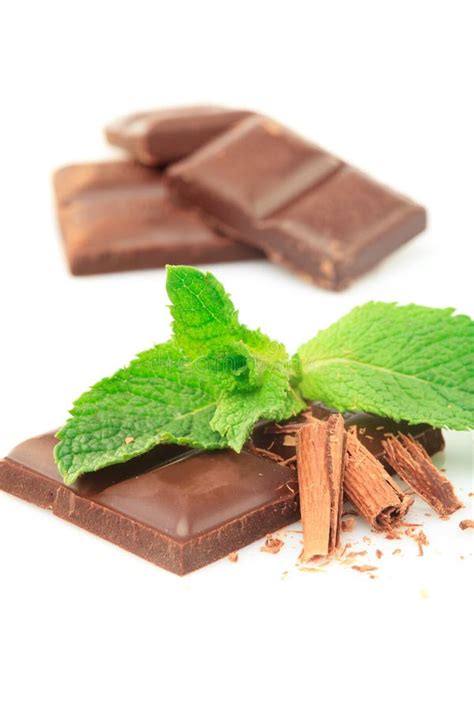 mint  chocolate stock photo image  confection isolated