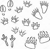Animal Tracks Vector Silhouettes Various Stock Drawing Illustration Getdrawings sketch template