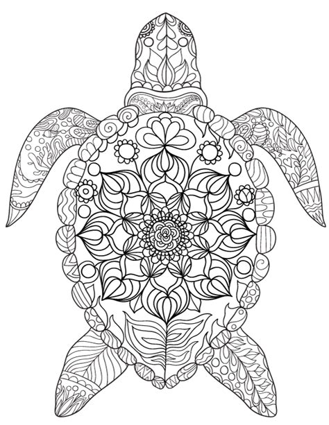 sea turtle adult coloring page
