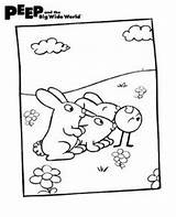 Peep Coloring Pages Wide Big Wgbh Chirp Kisses Open Quack sketch template
