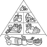food pyramid coloring pages surfnetkids