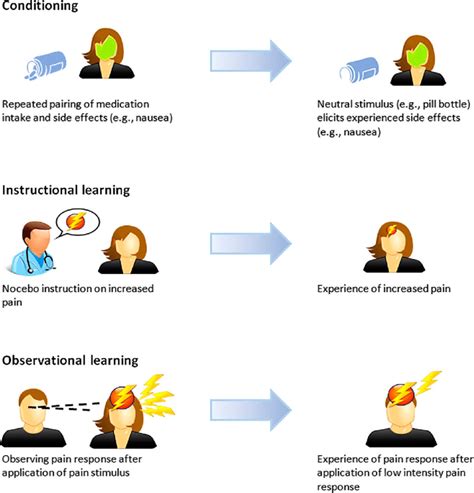 learning mechanisms   nocebo effect  scientific diagram