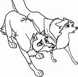 Balto Coloring Jenna Wolf Wecoloringpage Pages Colouring Color sketch template