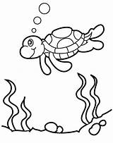 Turtle Coloring Sea Pages Printable Kids Turtles sketch template