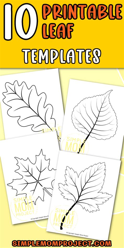 printable large leaf templates stencils  patterns leaf
