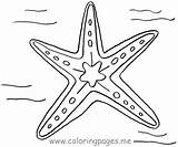 Starfish Coloring Star Pages Drawing Sea Fish Color Line Printable Print Kids Ocean Drawings Getdrawings Coloringpages Designlooter Choose Board Site sketch template