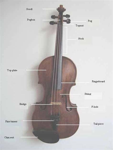 images  parts   violin  pinterest violin parts violin bow  violin makers