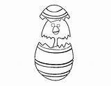 Coloring Easter Chick Egg Coloringcrew sketch template