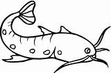 Catfish Coloring Clipart Pages Drawings Cartoon Printable Fish Cliparts Clip Super Cat Clipartbest Sheet Swordfish Sketch Pintar Para Library Find sketch template