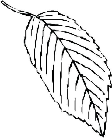 palm leaf drawing    clipartmag