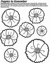 Poppy Coloring Remembrance Poppies Template Veterans Anzac Pages Craft School Crayola Remember Kids Drawing Printable Print Activities Color Primary Au sketch template