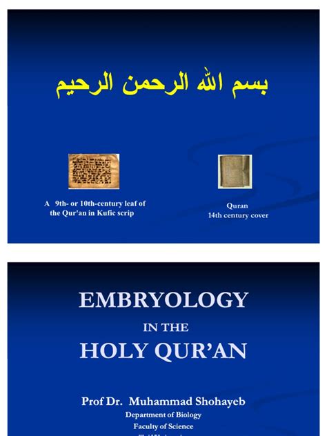 embryology in the holy quran sex embryo