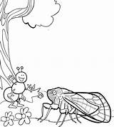 Cicada Coloring Ant Pages sketch template