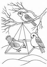 Uccelli sketch template