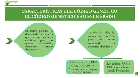 ova caracteristicas del código genetico youtube