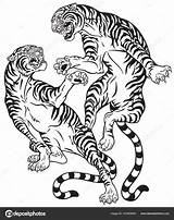 Fighting Tigers Two Big Tattoo Vector Illustration Cats Roaring Stock Japanese Tattoos Battle Drawings Depositphotos Style sketch template