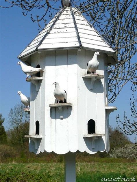dovecote bird houses diy bird house plans bird houses
