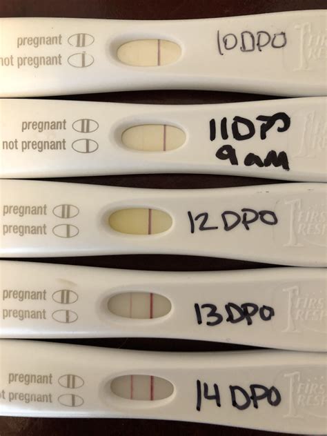 Best Time To Take A Pregnancy Test Dpo Pregnancy Test