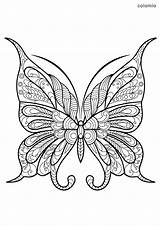 Papillon Colorare Papillons Mariposas Motifs Coloriages Schmetterling Insetti Colorier Jolis Adulti Insectes Mariposa Farfalle Enfants Insecte Malvorlage Geeksvgs Rainbowprintables Gratuitement sketch template