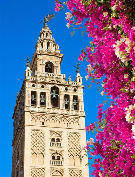 find  beautiful spot    cathedral   city centre  seville