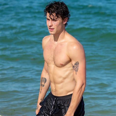 Shawn Mendes Celebrates Christmas By Swimming In Ice Cold Water Page