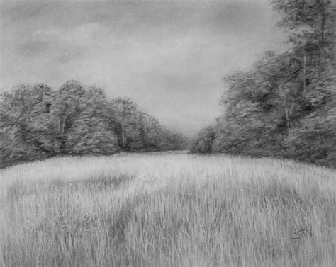field drawing  paintingvalleycom explore collection  field drawing