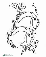 Fish Coloring Pages Tropical Color Simple Kids Book Printable Sheets Colouring Objects Tattoo Drawings Print Clipart Patterns Below Click Outline sketch template