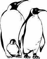 Penguin Coloring Pages Emperor Printable Baby Kids Cartoon Clipart Penguins Colouring Family Happy Feet Color Cliparts Print Getcolorings Father Library sketch template