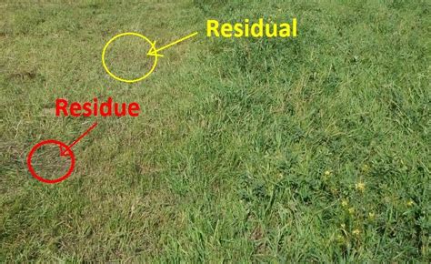 residual    residue  pasture