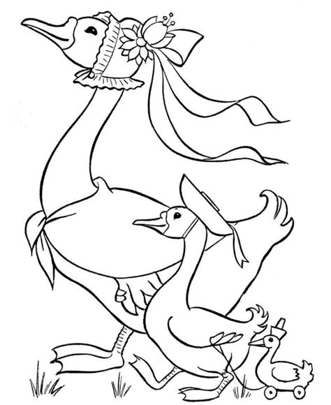 duck coloring pages  toddlers  coloring pages