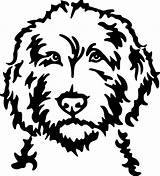 Labradoodle Dog Silhouette Outline Stencil Cartoon Stencils Drawing Illustration Drawings Choose Board sketch template