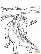 Jurassic Dinosaur Saurier Stegosaurus Wuerhosaurus Indoraptor Styracosaurus Evolved Coloringpagesonly Malvorlage Ausmalbild sketch template