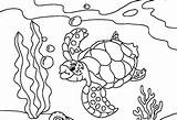 Coloring Sea Pages Turtle Turtles Printable Kids sketch template