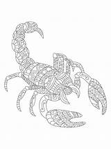 Scorpion Scorpione Zentangle Stylized Skorpion Dello Coloritura Adulti Erwachsene Freehand Tierkreises sketch template
