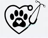 Stethoscope Paw Heart Print Vet Tech Dog Silhouette Vinyl Decal Veterinary Tattoo Animal Decals Perro Veterinaria Etsy Middle Cute Tattoos sketch template