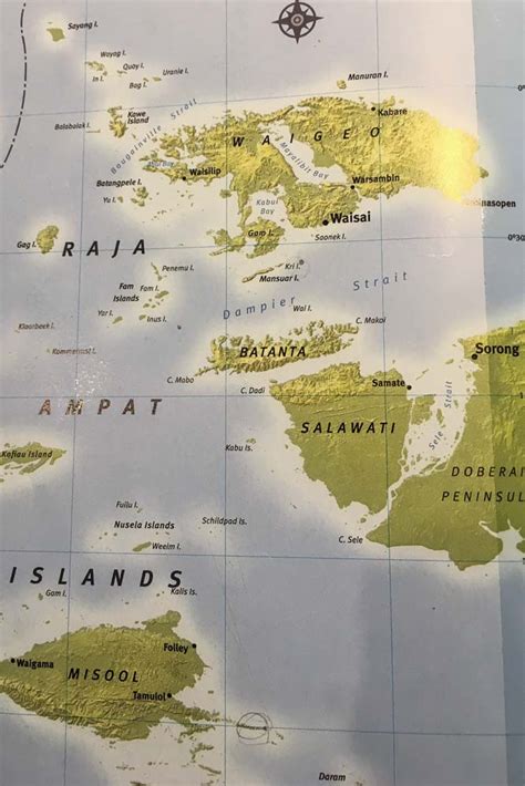 Raja Ampat Diving The Definitive Guide