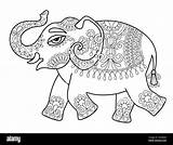 Elephant Indian Drawing Coloring Adults Line Ethnic Bo Original Stock Alamy Vector sketch template
