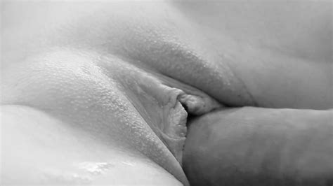image 1959 animated black and white clit clitoral clitoral hood clitoris close up cock female