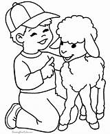 Coloring Pages Printable Lamb Kids Popular sketch template