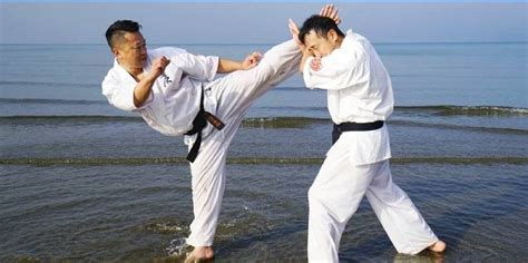 Tipos De Artes Marciales Para Defensa Personal