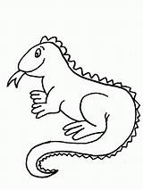 Iguana Coloring Printable Pages Kids sketch template