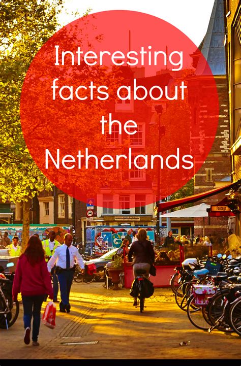 70 fun facts that are good to know when you travel to the netherlands