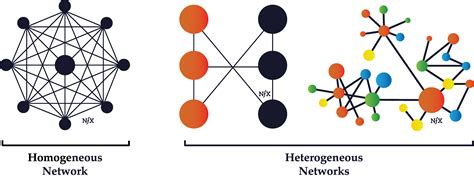 homogeneous  heterogeneous networks  network effects bible