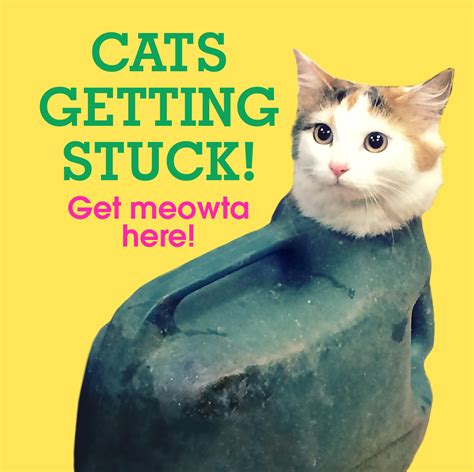 Cats Getting Stuck By No Author Details Penguin Books Australia