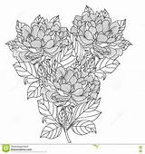 Bouquet Adults Vector Peony Drawn Coloring Artwork Hand Book Mandala sketch template