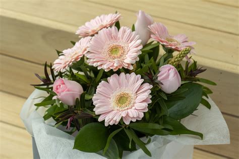 Pale And Pretty Botany Downs Florist And East Auckland Same Day Delivery